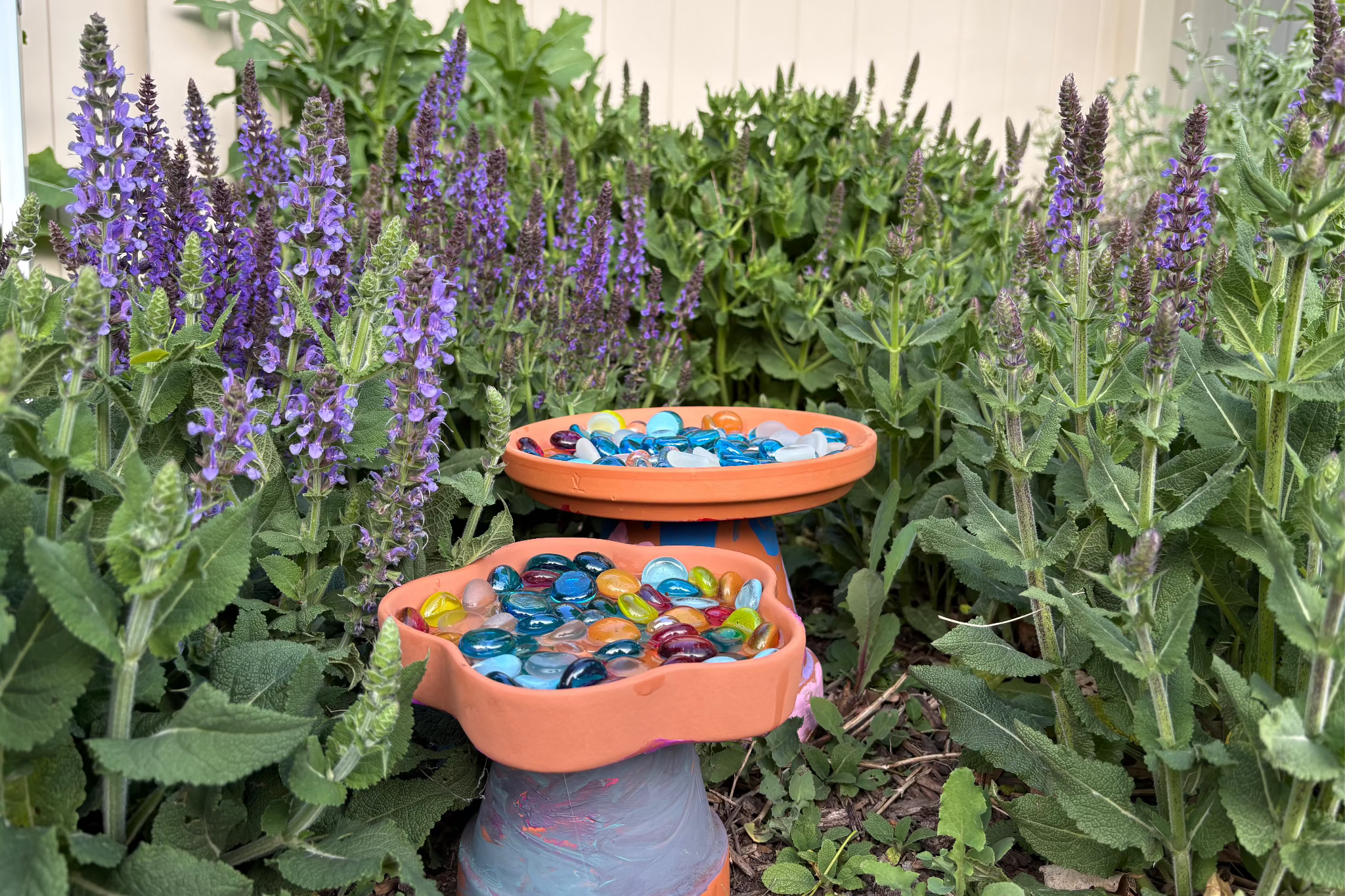Bee bath with fresh water and smooth stones in a garden, designed to support local pollinators on National Bee Day.