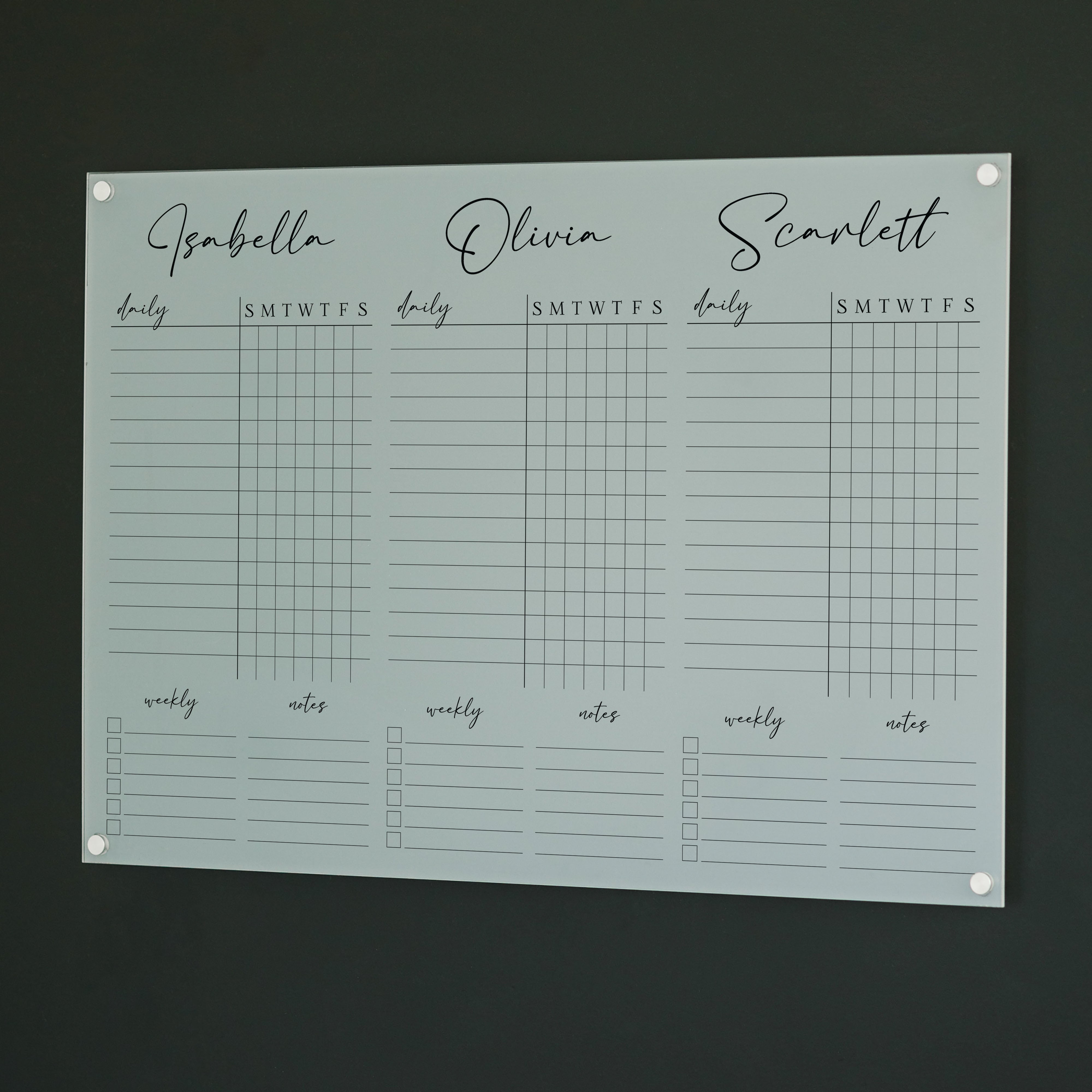 3 Person Frosted Acrylic Chore Chart | Horizontal Pennington