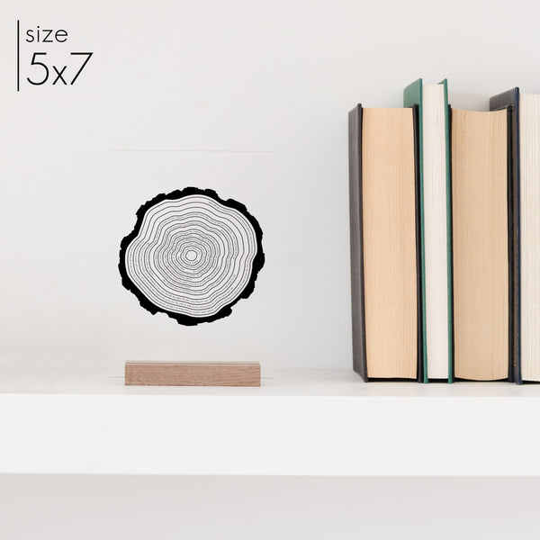 Custom Tree Ring Memory Art